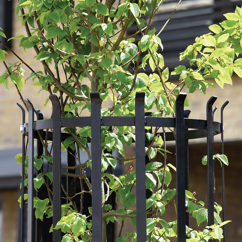 Tree Protection Bar Poplar Mild Steel Tree Guard | Street Furniture