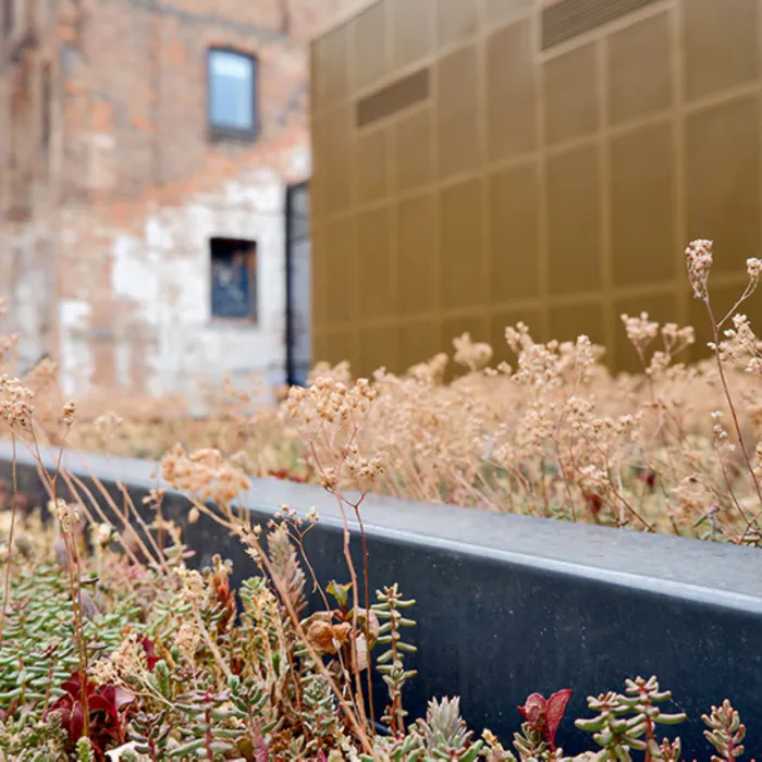 Turvec Cubic Green Roof Bike Shelter - 8