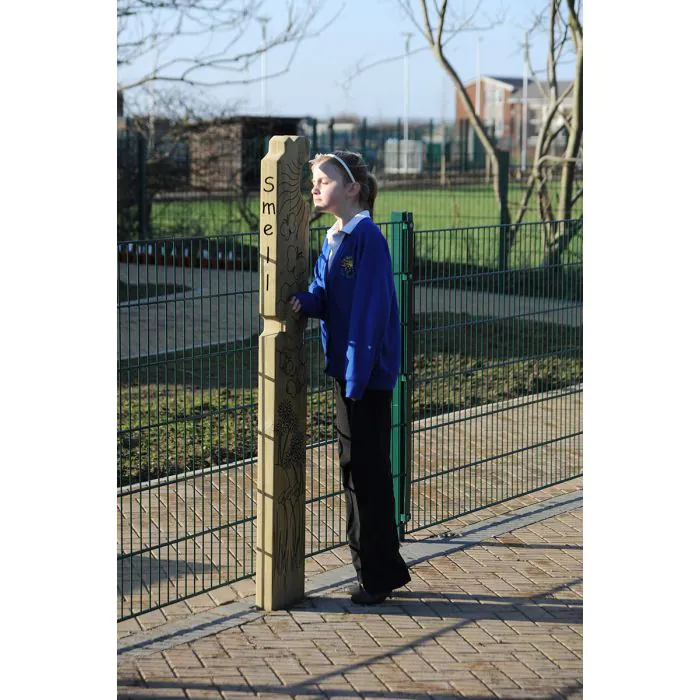 Taste & Smell Totem - 3