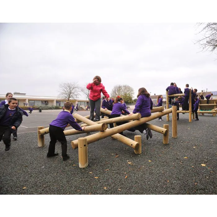 Lumberjack Ladder - 1
