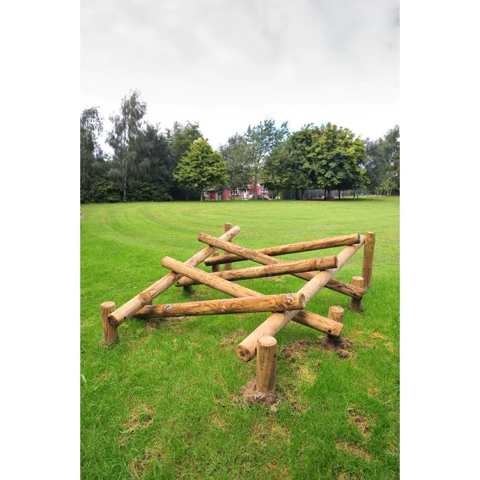 Lumberjack Ladder - 2
