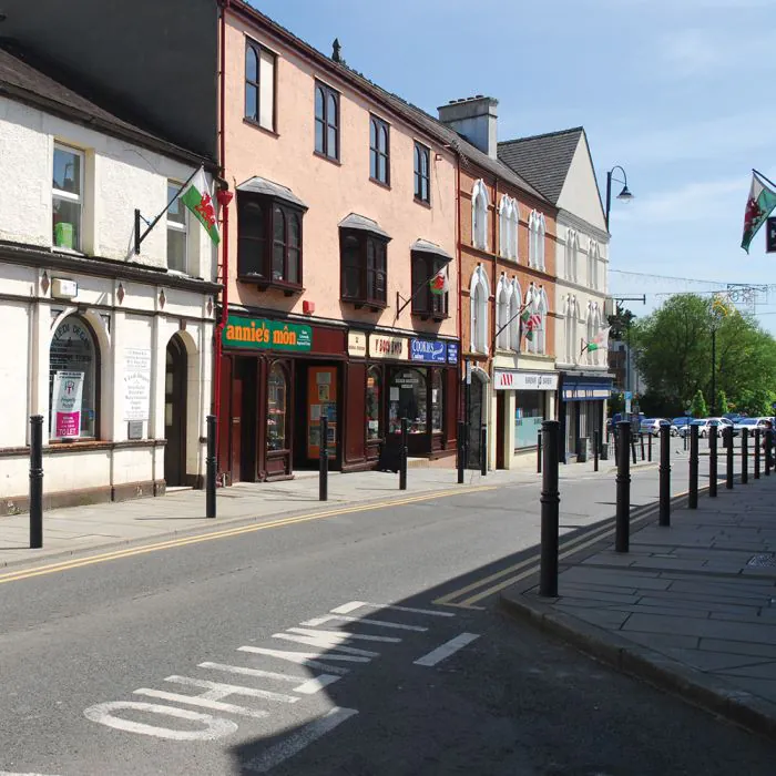 Llangefni PU Bollard - 7