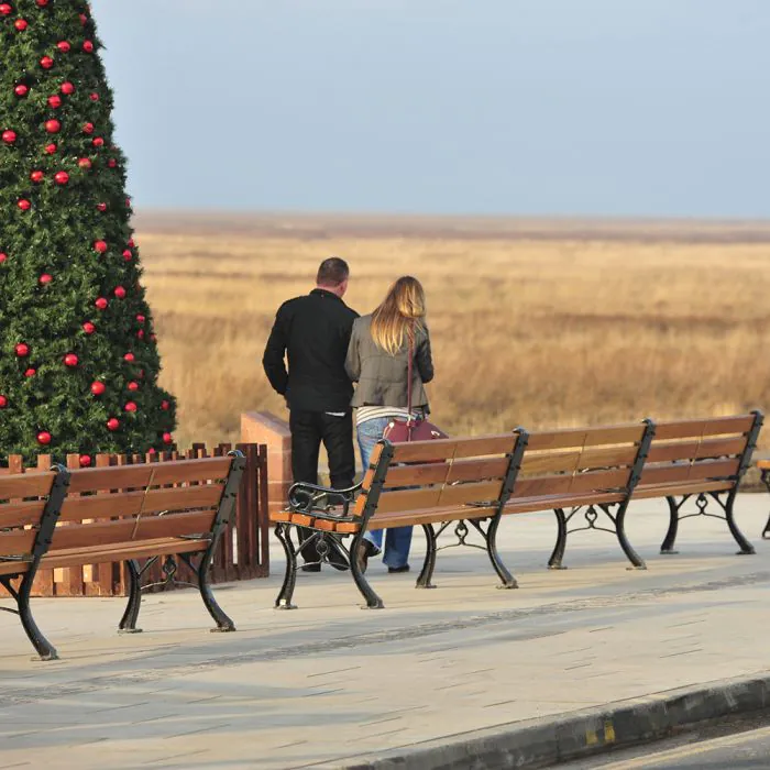 Parkgate Seat - 6