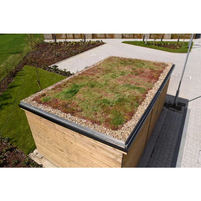 Customised Blox Shelter - 40