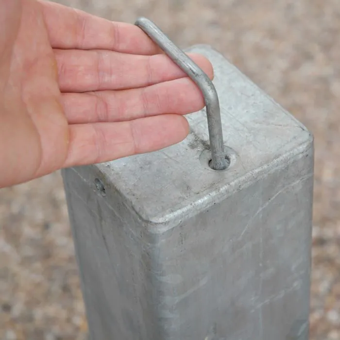 Economy Telescopic Post - 3