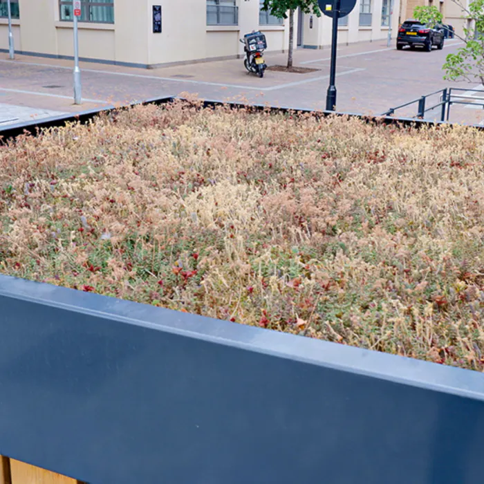 Turvec Cubic Green Roof Bike Shelter - 9