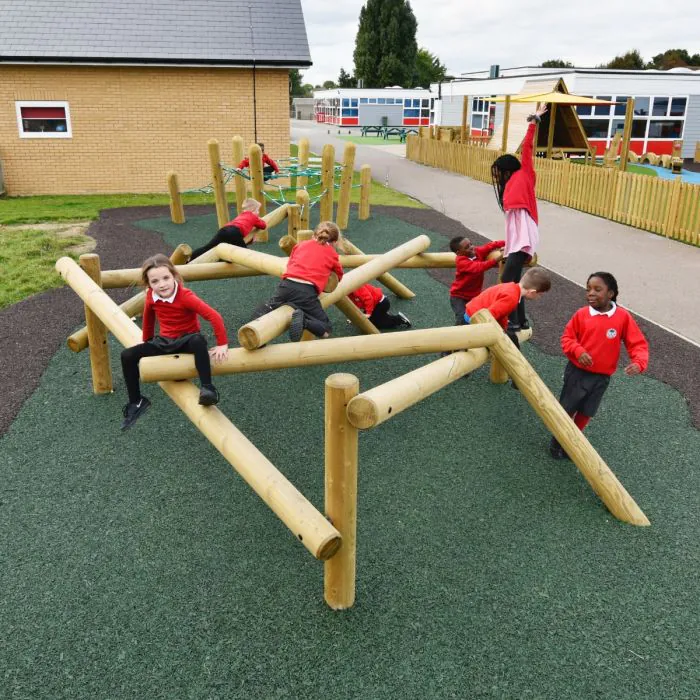 Birds Nest Climbing Frame - 15