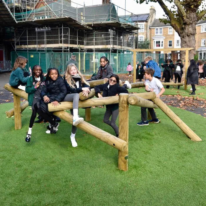 Birds Nest Climbing Frame - 3
