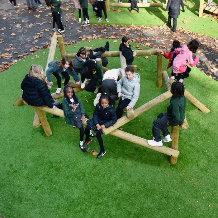 Birds Nest Climbing Frame - 1