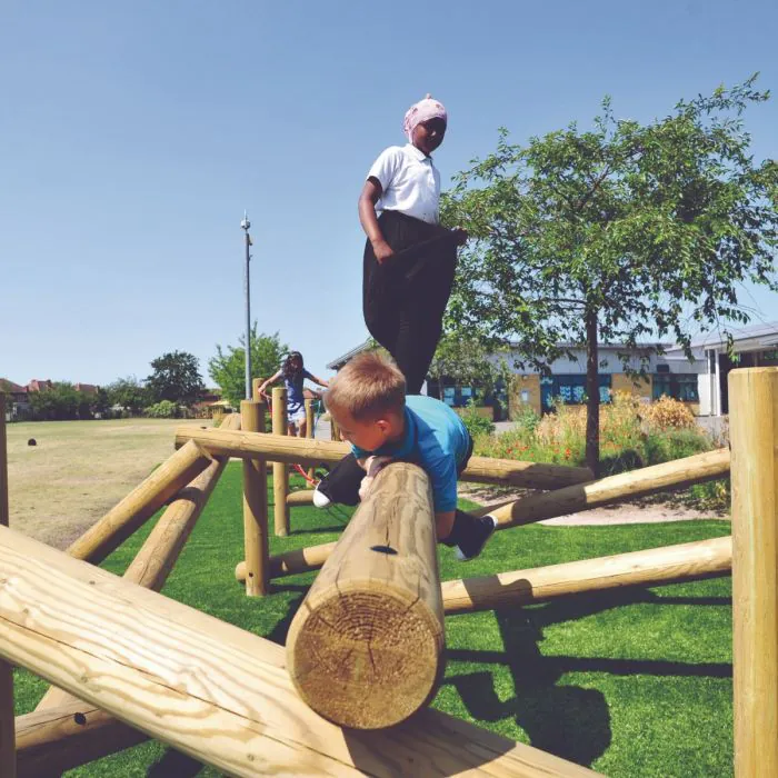 Birds Nest Climbing Frame - 8