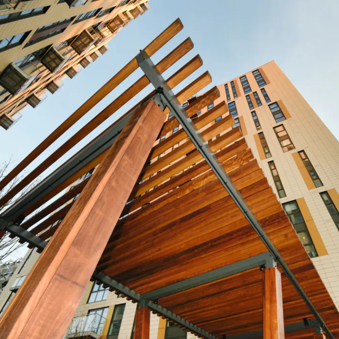 Slate Yard Timber Canopy - 3