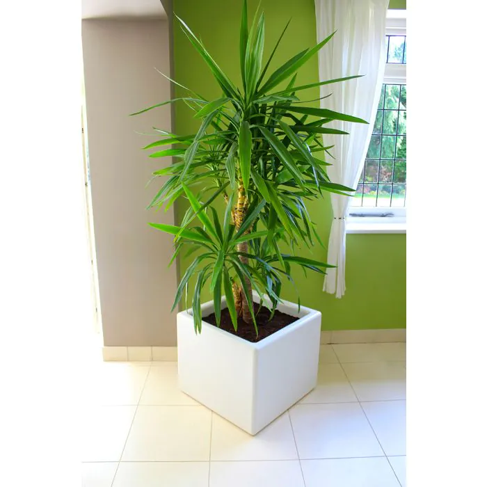 Cube Planter - 4