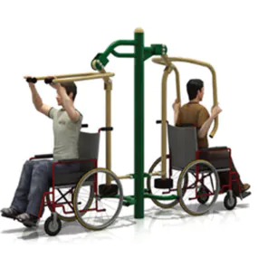 Wheelchair Accessible Combi Pull Down Challenger & Power Push