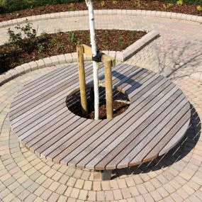 Saturn Circular Bench