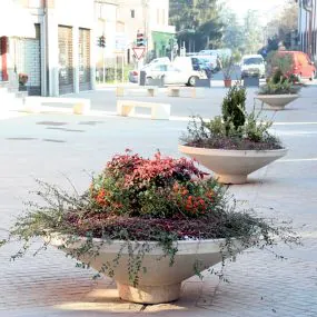 Azalea Planter