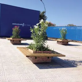 Rectangular Concrete Planters