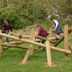 Birds Nest Climbing Frame
