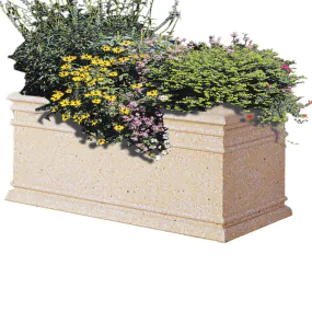 Rectangular Concrete Planter