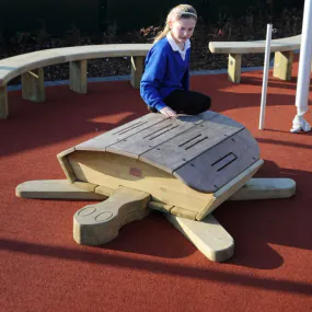 Turtle Drum