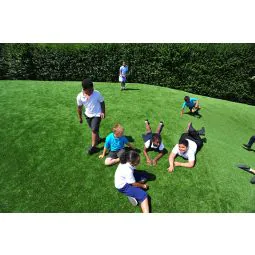 Artificial Grass Surfacing