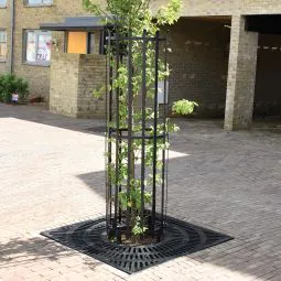 Poplar Mild Steel Tree Guard Poplar Mild Steel Tree Guard