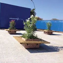 Rectangular Concrete Planters