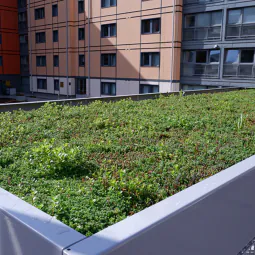 Turvec Cubic Green Roof Bike Shelter