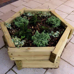 Hexagonal Planter Hexagonal Planter