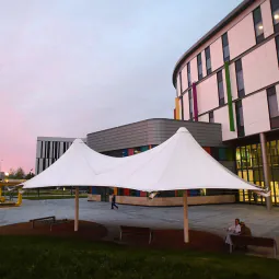 Twin Conic Canopy