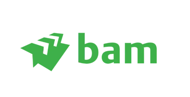 BAM Construction
