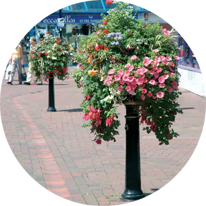 Flower Baskets Category Image 