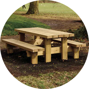 Picnic benches