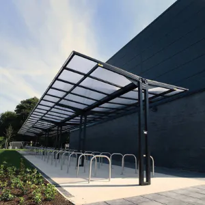 Symmetric Gullwing Canopies