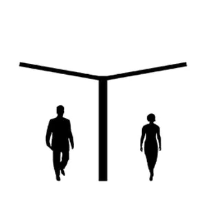Symmetric Gullwing Canopies